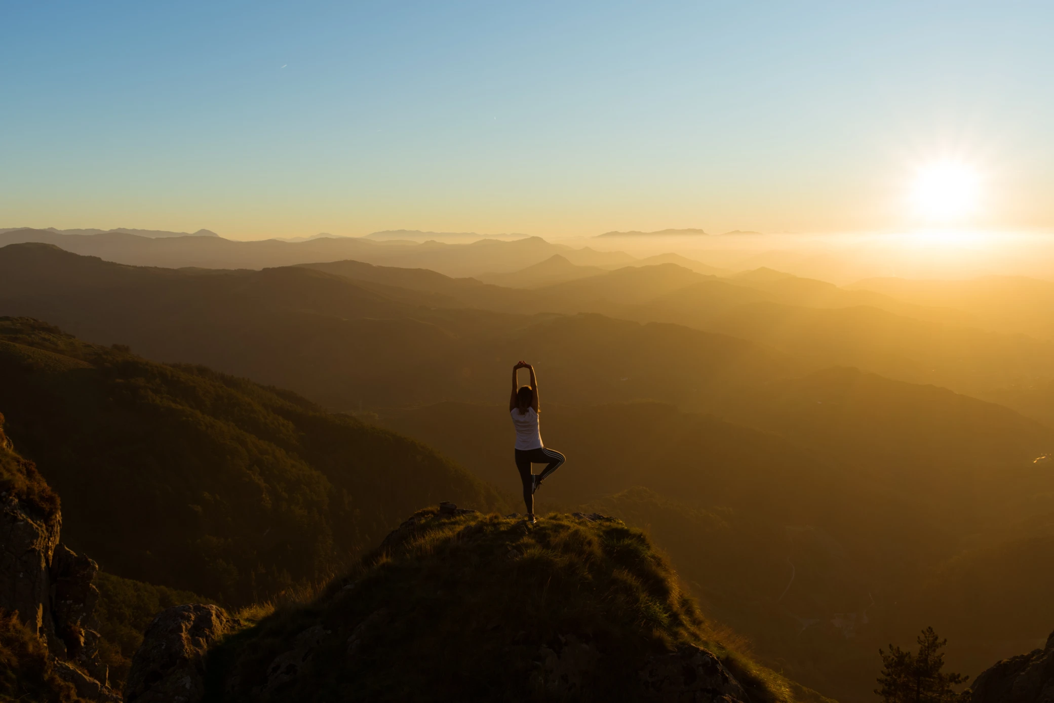 Read more about the article Happy International Yoga Day!