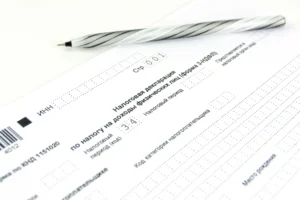 Read more about the article South African Tax System
