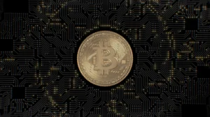 Read more about the article The Rise of Cryptocurrencies: Opportunities and Challenges for Investors